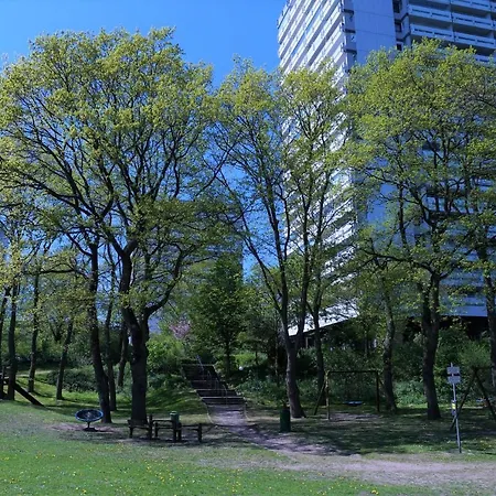 Panoramic App A06-6 *