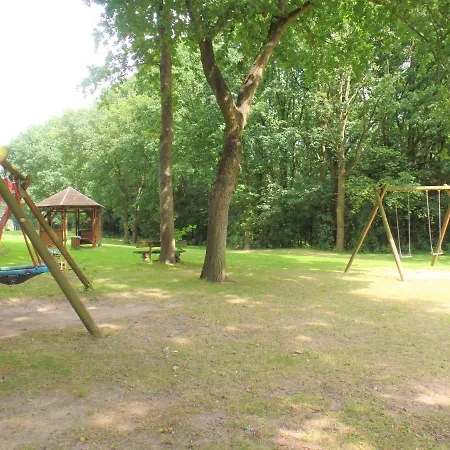 Panoramic App A06-6 *