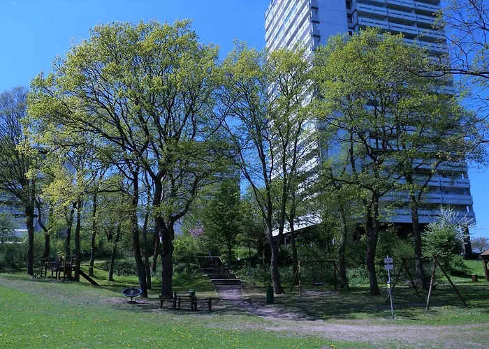 Panoramic App A06-6 *