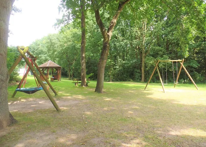 Panoramic App A06-6 *